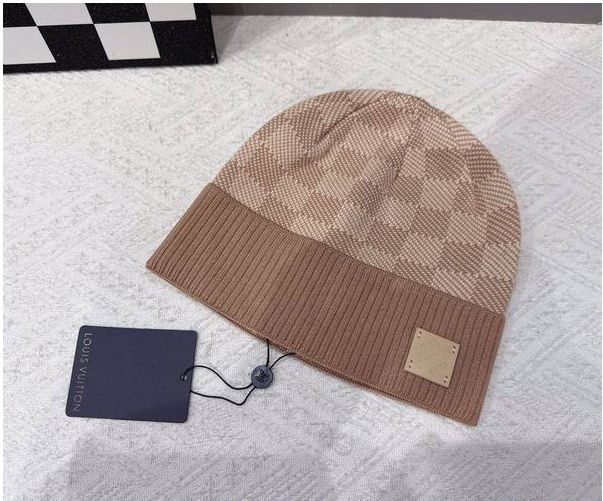 Louis Vuitton Beanie ID:20260111-93